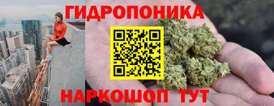 кокс Пугачёв