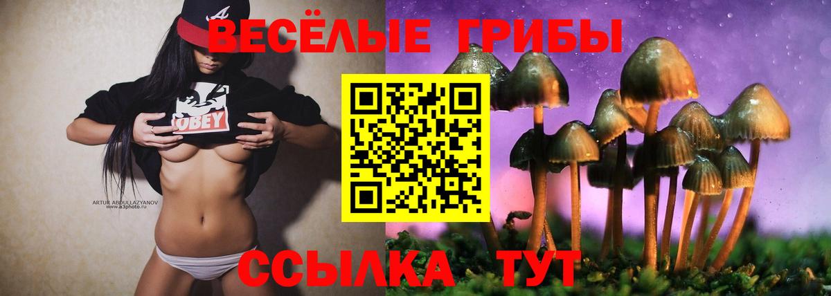 Псилоцибиновые грибы Cubensis  Вход с VPN  Прокопьевск  Галлюциногенные грибы мицелий 